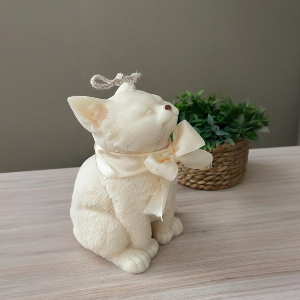 Glimlach Kat Siliconen Mal voo - Soap Making Gifts recensie en prijs